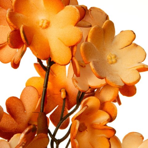 KW0FLORE07550POM POMA+BR