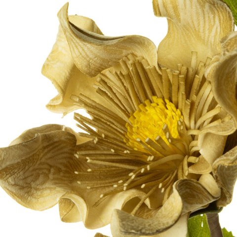 KW0FLORE07590OLI OLIW