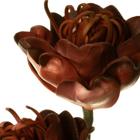 KW0FLORE07690C.B C.BORD