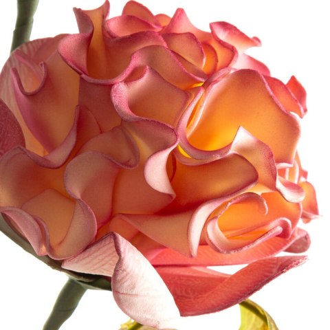 KW0FLORE07720RÓŻ RÓŻO+ŻÓŁT