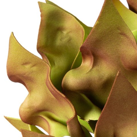 KW0FLORE07760ZIE ZIEL+BR