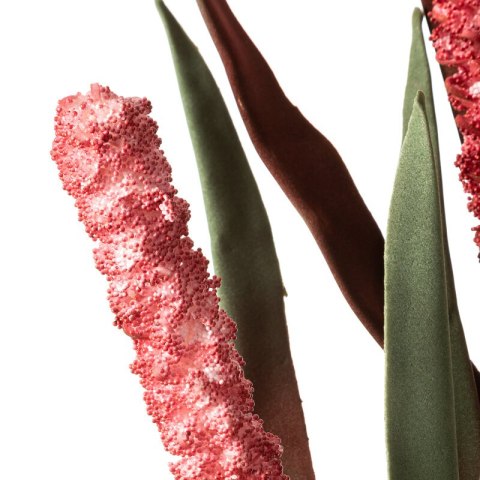 KW0FLORE07770C.R C.RÓŻO