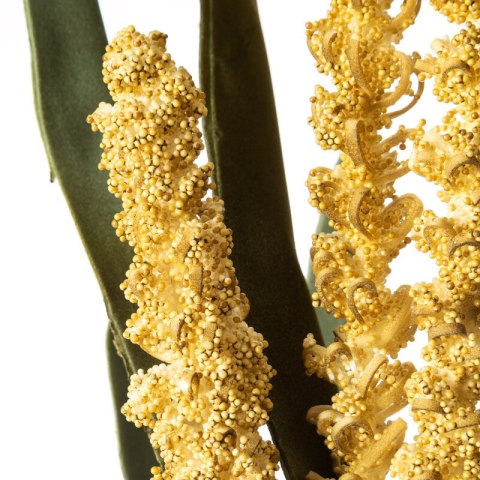 KW0FLORE07770OLI OLIW