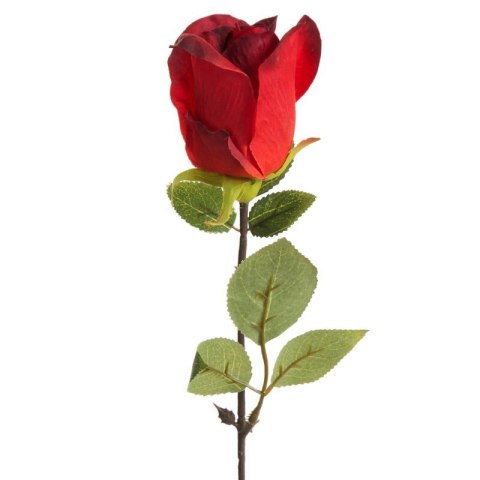 KW0NATU04300CZER CZER