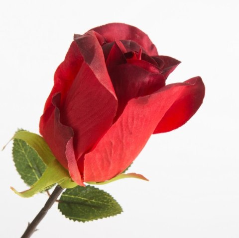 KW0NATU04300CZER CZER