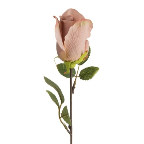 KW0NATU04300PUDE PUDE