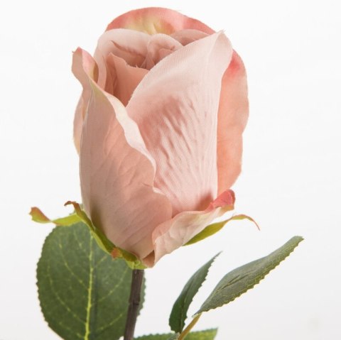 KW0NATU04300PUDE PUDE