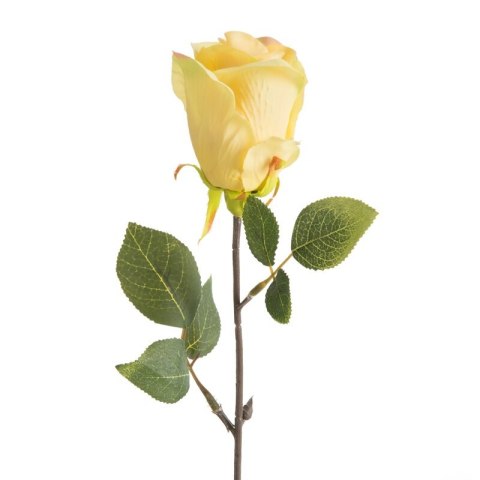 KW0NATU04300ŻÓŁ ŻÓŁT