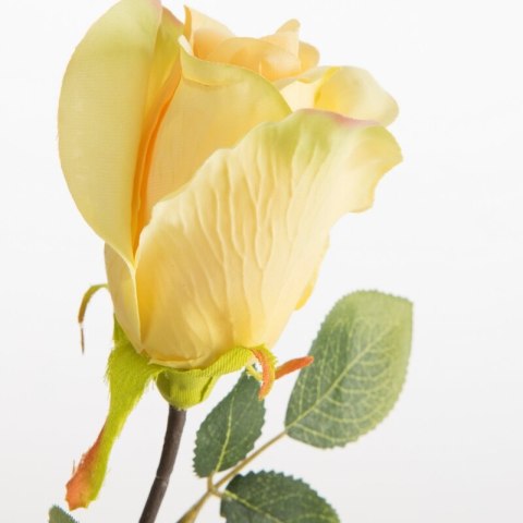 KW0NATU04300ŻÓŁ ŻÓŁT