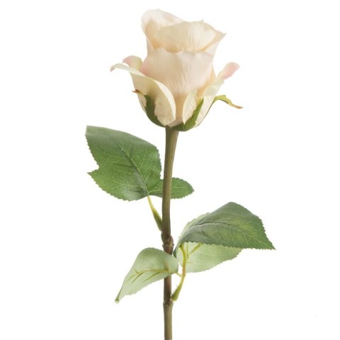 KW0NATU04400NATU NATU