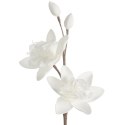 KW0FLORE07150B B