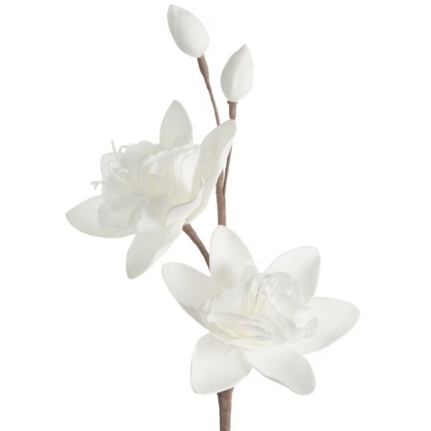 KW0FLORE07150B B