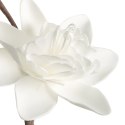 KW0FLORE07150B B