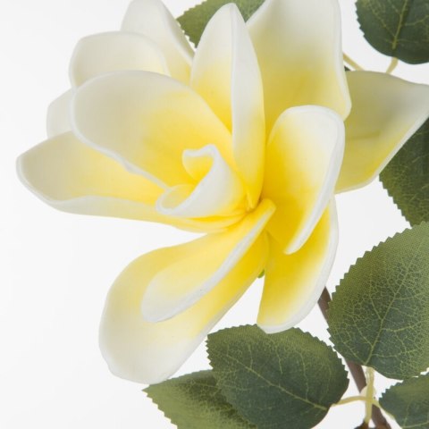 KW0FLORE07520ŻÓŁ ŻÓŁT