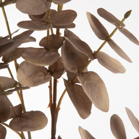 KW0NATU04120C.BE C.BEŻO