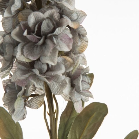 KW0NATU04130POPI POPI