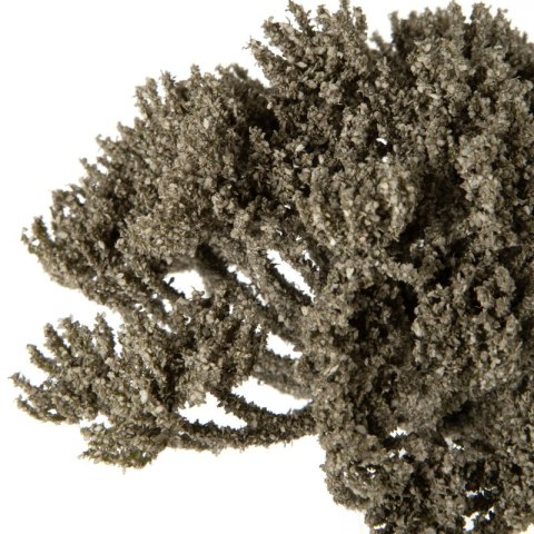 KW0NATU04160NATU NATU