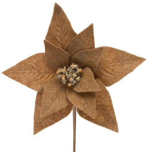 SW0KW0262 30X14 J.BR