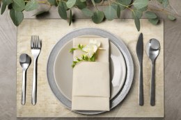 CHO0ALINA0BEŻ 30X400X4 KPL