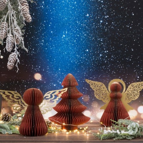 SW0OZD0PA094 20X19X25 BORD+gold