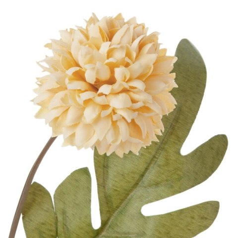 KW0NATU03940POM POMA+ZIEL