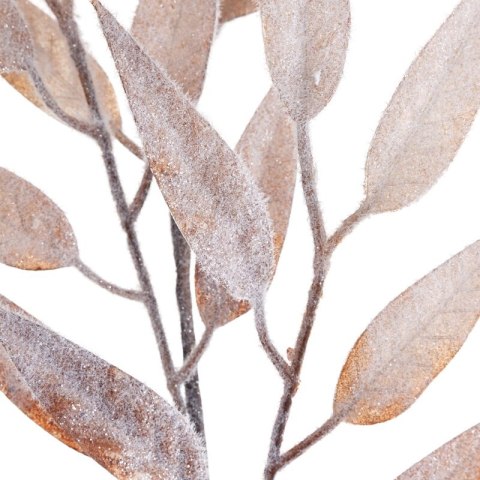 KW0NATU03980FIOL FIOL+B