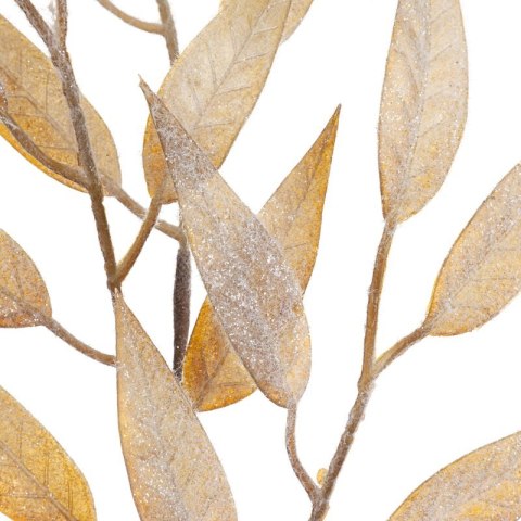 KW0NATU03980J.BR J.BRĄZ+B