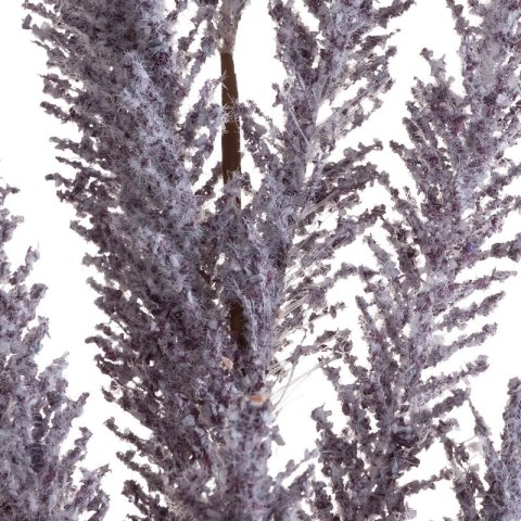 KW0NATU03990FIOL FIOL