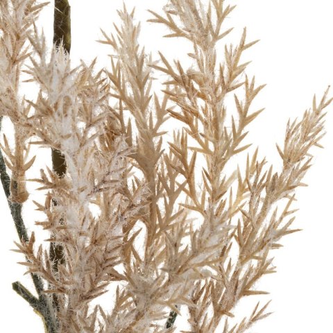 KW0NATU04000BRĄZ BRĄZ+POPI