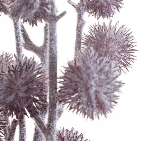 KW0NATU04030FIOL FIOL