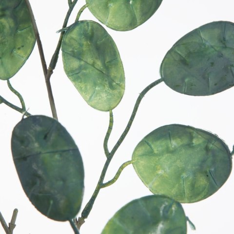 KW0NATU03750ZIEL ZIEL