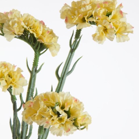 KW0NATU03780ŻÓŁT ŻÓŁT