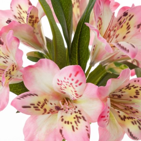 KW0NATU03850J.R J.RÓŻO+ŻÓŁT