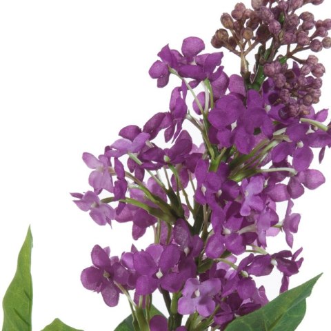 KW0NATU03870FIOL FIOL+ZIEL