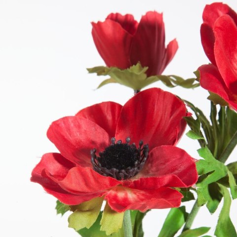 KW0NATU03920CZER CZER+ZIEL