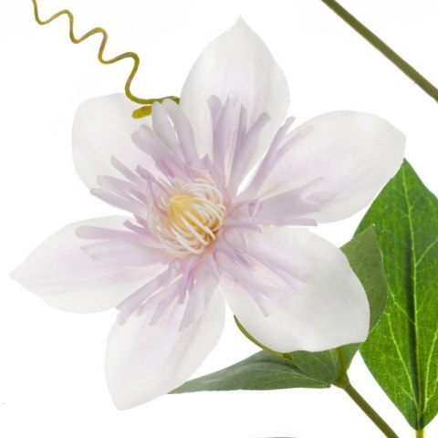 KW0NATU03930B B+J.FIOL