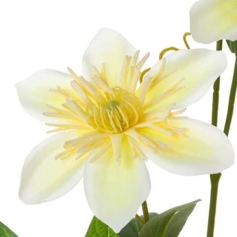 KW0NATU03930ŻÓŁ ŻÓŁT