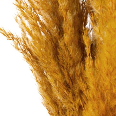 KW0NAT043406-548 73CM BUKIET