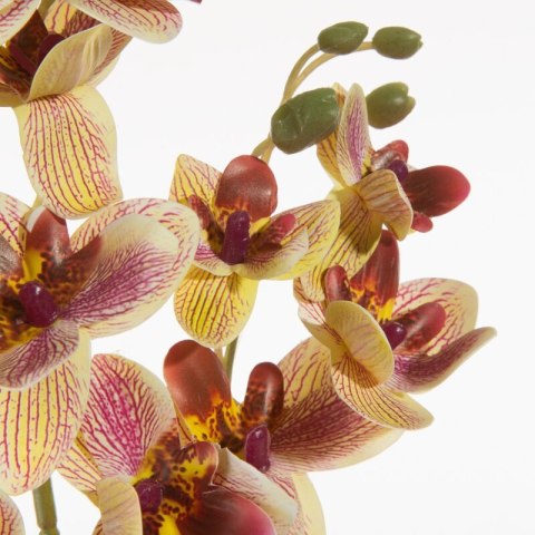 KW0NATU03670ŻÓŁ ŻÓŁT+RÓŻO