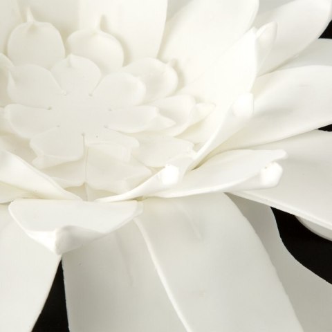KW0FLORE07310B B