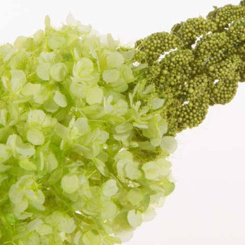 KW0NATU03570ZIEL ZIEL