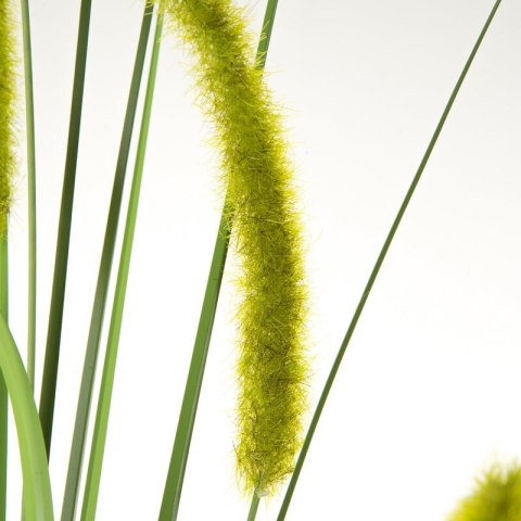 KW0NATU03590ZIEL ZIEL