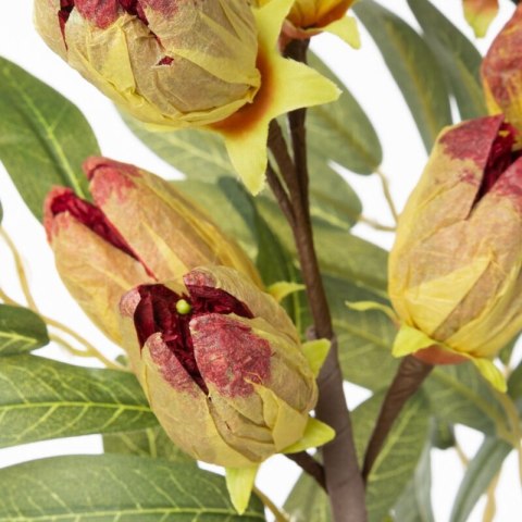 KW0NATU03280CZE CZER+ŻÓŁT