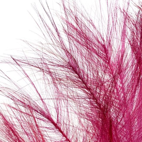 KW0WIANEK010BOR BORD+FIOL