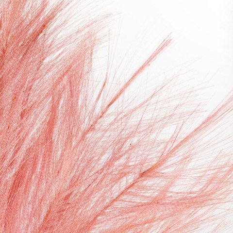 KW0WIANEK010RÓŻ RÓŻO