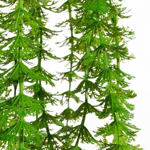 KW0NATU02770ZIEL ZIEL