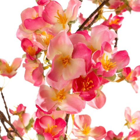 KW0NATU02830RÓŻ RÓŻ