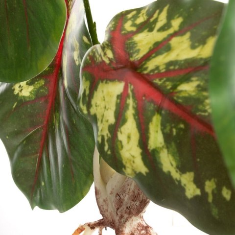 KW0NATU02870C.Z C.ZIEL+RÓŻO