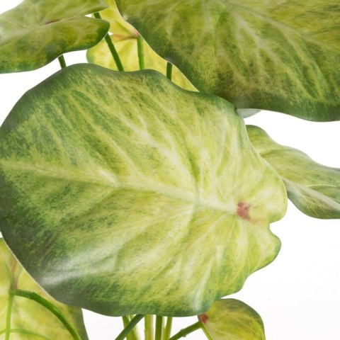 KW0NATU02870J.ZI J.ZIEL