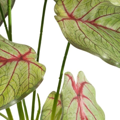 KW0NATU02870Z+R ZIEL+RÓŻO